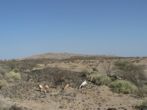 Gabho volcano which subsided by 3 metres in Sept 2005