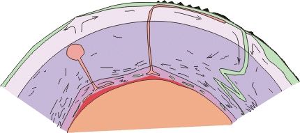 Mantle convection