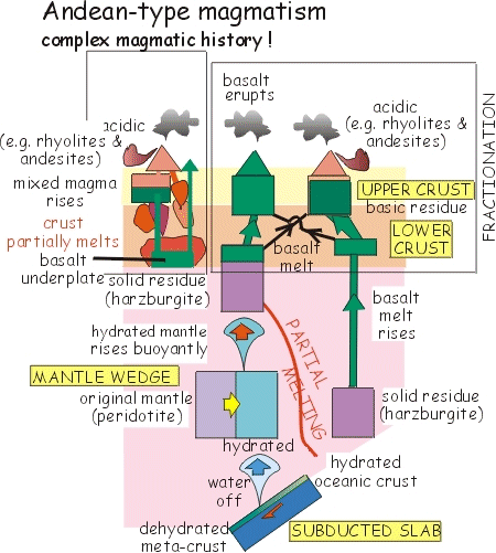 Andean type magmatism