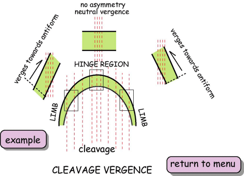 Cleavage vergence