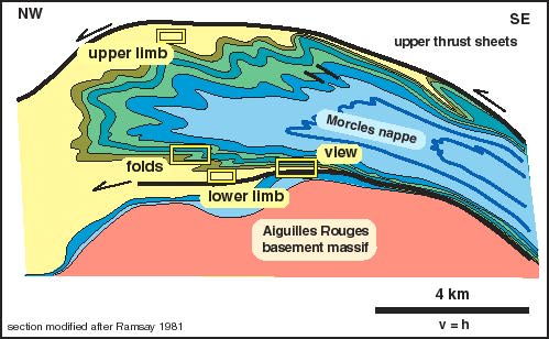 M. Section