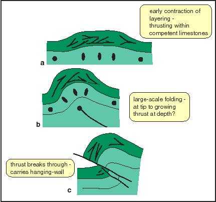 Corbel - model