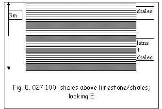 Shales above limestone/shales; looking E